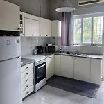 Апартаменты ευρύχωρο σπίτι στην *